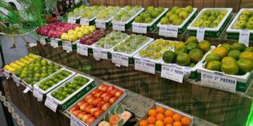 Goiás recebe evento do setor lácteo que vai apoiar a profissionalização do setor