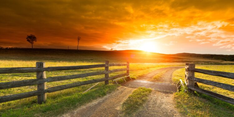 Condraf cria comitê para debater políticas de paz no campo