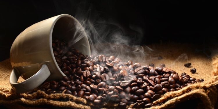 MG exporta 1º lote de café em conformidade com as novas regras da União Europeia