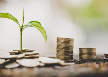 Badespi libera cerca de R$ 300 mil para produtores rurais de Barras (PI)