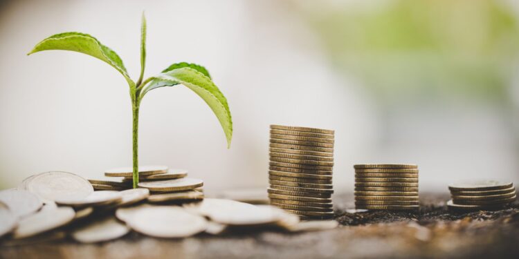 Badespi libera cerca de R$ 300 mil para produtores rurais de Barras (PI)