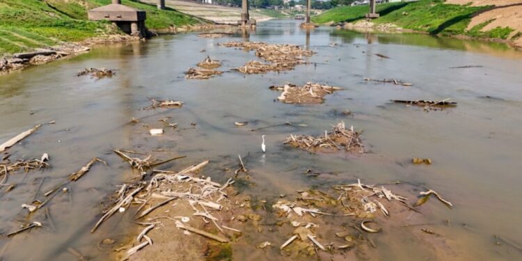 Acre decreta situação de emergência devido à grave seca