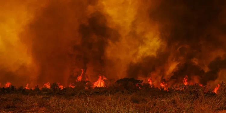 Justiça bloqueia bens de pecuarista acusado de desmatar e queimar terrenos na Amazônia