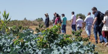 Novos procuradores federais visitam assentamento no Distrito Federal