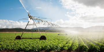 MG: estado passa a contar com lei em prol da agricultura irrigada sustentável
