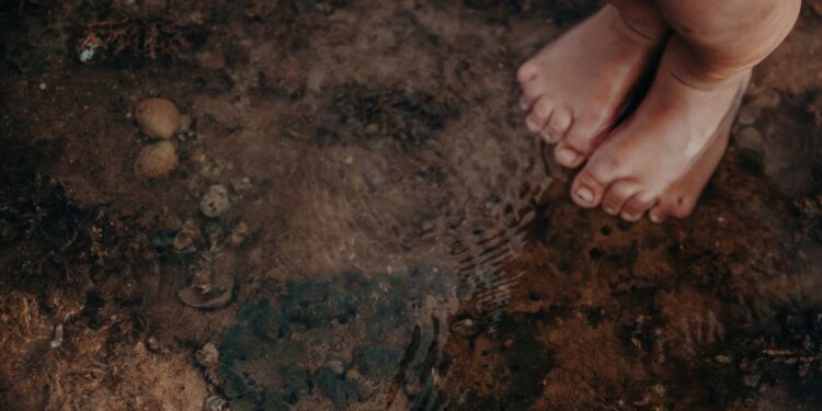 Comitiva chega ao Mato Grosso do Sul para mediar conflitos entre indígenas e fazendeiros