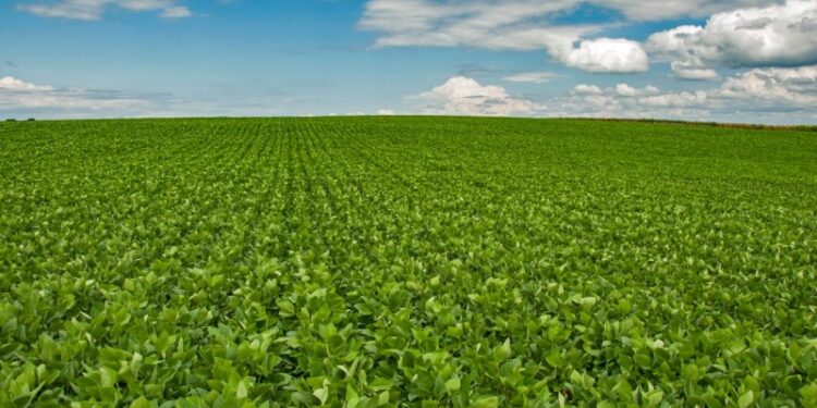 Agricultores gaúchos vão utilizar o CAR do Governo Federal