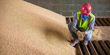 Acumulado das exportações de soja em 2024 é recorde até o momento, aponta Secex