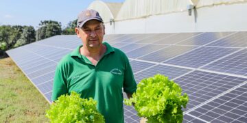 Energia Renovável: produtor de hidropônicos reduz custos com energia elétrica em 85%