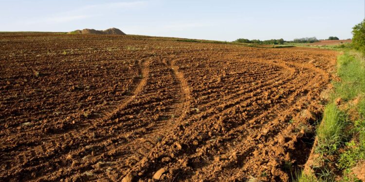 FAB e Forças de Segurança Pública realizam mais de 5 mil abordagens em operação nas terras Yanomami
