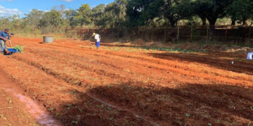 MG: Projeto com participação de jovens reeducandos doa mais de uma tonelada de alimentos à comunidade