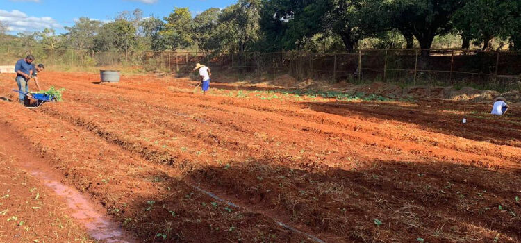 MG: Projeto com participação de jovens reeducandos doa mais de uma tonelada de alimentos à comunidade