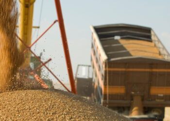 Conab estima produção de 298,6 milhões de toneladas de grãos na safra 2023/2024