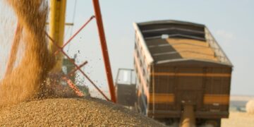 Conab estima produção de 298,6 milhões de toneladas de grãos na safra 2023/2024