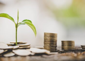 Valor do crédito contratado por agricultores familiares dobra no Plano Safra BNB