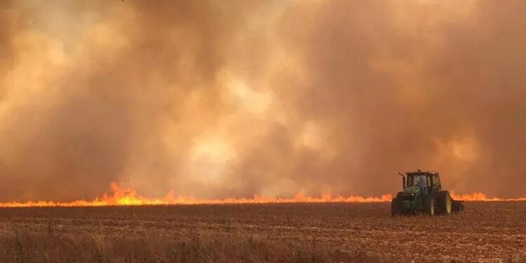 SP: Temperaturas podem chegar a 36ºC no interior e aumenta risco de incêndio na lavoura