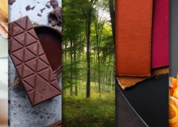 Exporta Mais Brasil atinge quase R$ 470 milhões de negócios em um ano