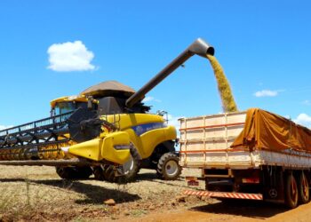 Paraná tem 35 municípios com VBP acima de R$ 1 bilhão