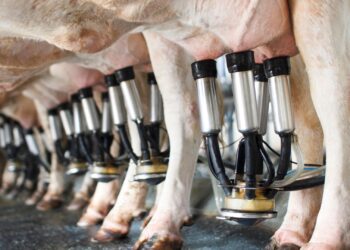 GO: inscrições para o PAA Leite são prorrogadas