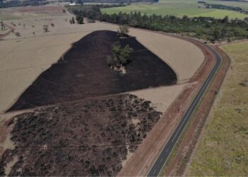 Queimadas afetam qualidade do solo e aumentam custos da produção