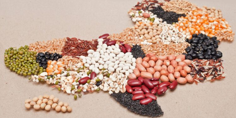 Governo Federal amplia número de adidos agrícolas