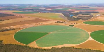 Prazo para declaração do ITR começa no dia 12 de agosto