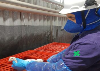 Fiscais Federais Agropecuários criticam regulamentação do autocontrole ao setor produtivo