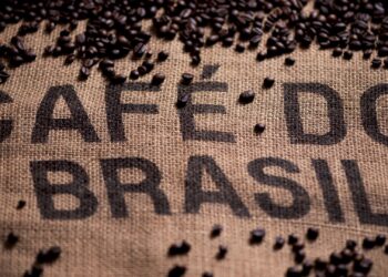 PR: exportações de café apresentam melhor 1º semestre em 12 anos