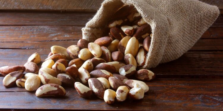 Embrapa apresenta tecnologias para plantio com foco em produção madeireira