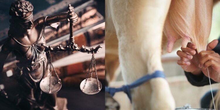 TST conclui que contrato de parceria entre empresários rurais e profissional configurou vínculo empregatício