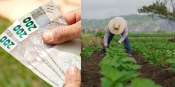 Governo concede descontos para renegociação de dívidas do crédito rural para municípios que decretaram estado de calamidade