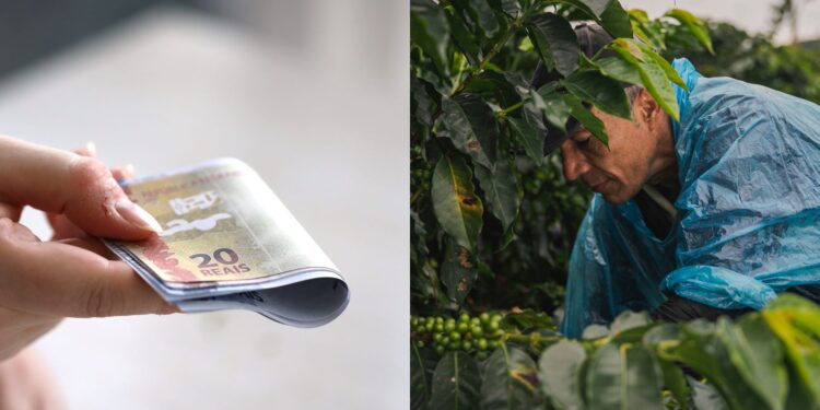 CMN autoriza prorrogação de dívidas de produtores rurais do RS, até 16 de setembro