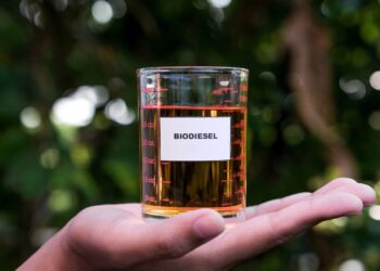 Frente Parlamentar Mista do Biodiesel afirma que Lei do Combustível do Futuro trará ganhos imensuráveis para a sociedade