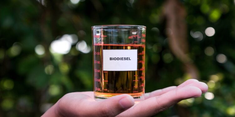 Frente Parlamentar Mista do Biodiesel afirma que Lei do Combustível do Futuro trará ganhos imensuráveis para a sociedade