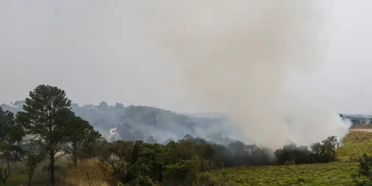 Defesa Civil: 99,9% dos incêndios registrados no estado de São Paulo no fim de semana foram causados por ‘ação humana’