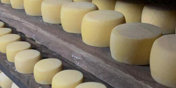 Distrito Federal tem primeiro concurso de queijos artesanais