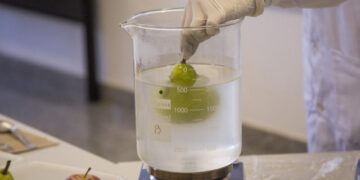 Publicações internacionais citam pesquisadores da Embrapa