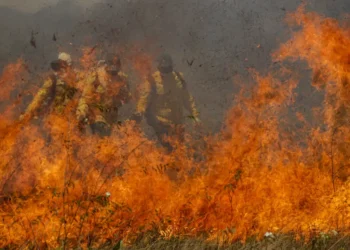 CNA divulga Nota Técnica e alerta sobre impactos dos incêndios criminosos para produtores rurais