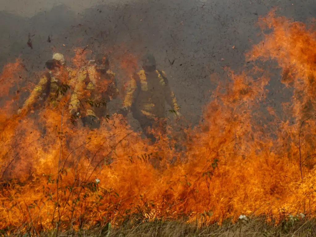 Organização de produtores de cana-de-açúcar repudia decreto que endurece punição por incêndios