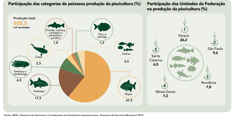 Produção da aquicultura gerou R$ 10,2 bilhões em 2023