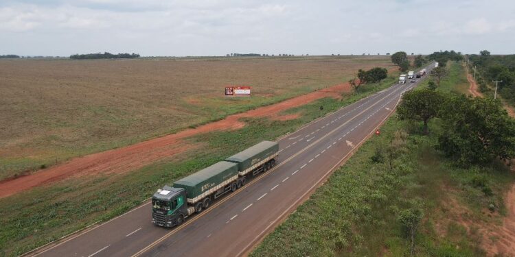 Rodovias que compõem a Rota da Celulose são delegadas ao governo do MS