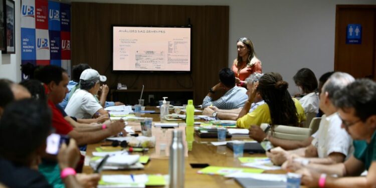 Bahia inicia Programa Estadual de Sementes e Mudas