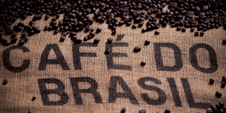 Brasil exporta mais de 31 milhões de sacas de Cafés do Brasil em oito meses