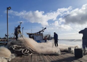 Prorrogado período de pesca do emalhe costeiro diversificado no Rio Grande do Sul