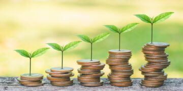 Orçamento 2025: Mapa tem redução de 5,65% para o ano que vem