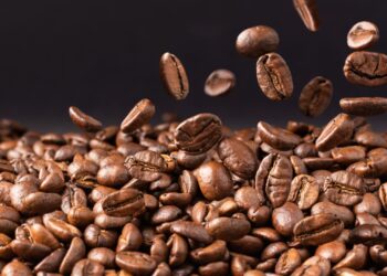 Diferença de preço entre café robusta e arábica bate recorde