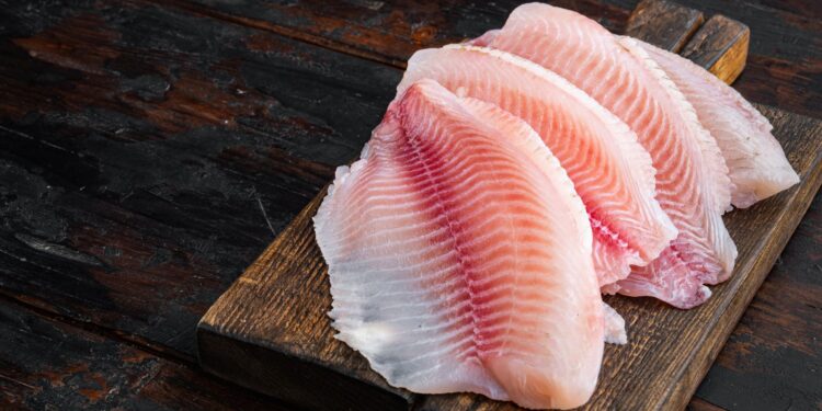 Oferta elevada e demanda enfraquecida mantêm pressão sobre preços da tilápia