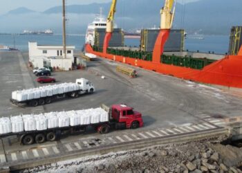 Porto de São Sebastião retoma atividades com novo transporte de café