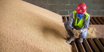 Valor da produção agrícola cai mais de 2% em 2023