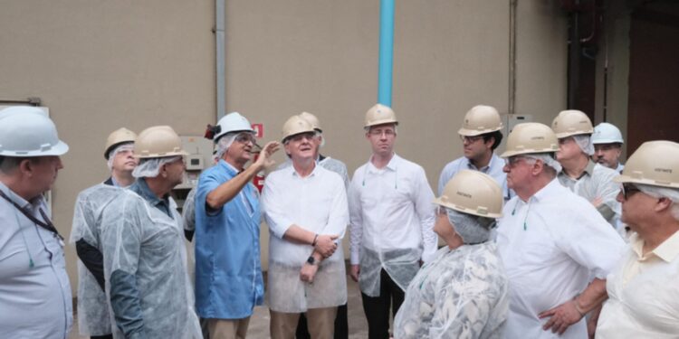 Fundecitrus apresenta impactos do greening na citricultura para Fávaro